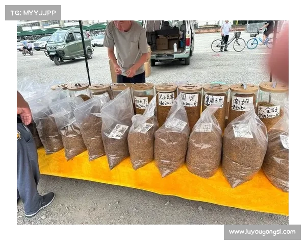 提升DK宏技术应用效果的五大关键策略与实践路径 提升DK宏技术应用效果的五大关键策略与实践路径
